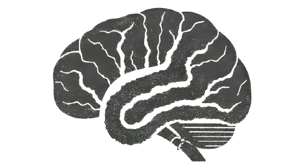 anxious brain